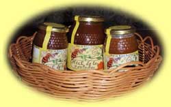 Miel ecológica. Foto: www.vallespasiegos.org